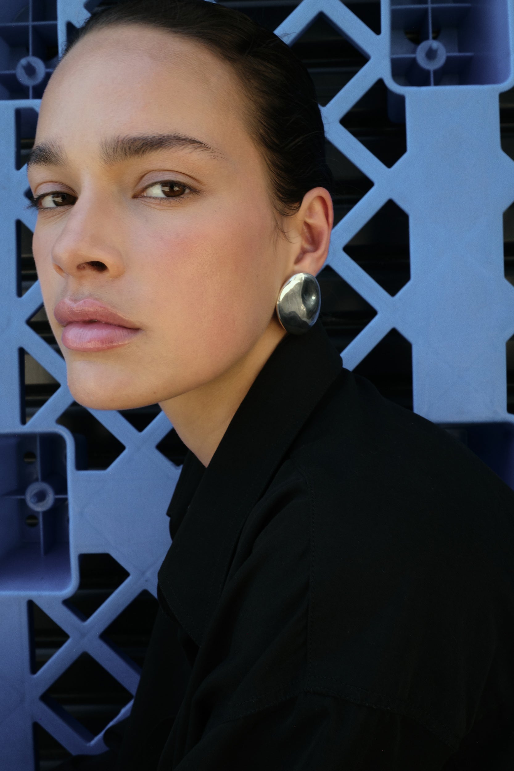 Dylan Dome Earring - Silver